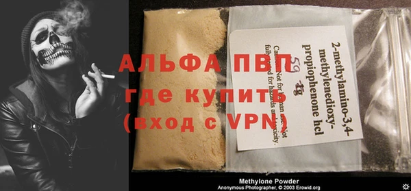 ПСИЛОЦИБИНОВЫЕ ГРИБЫ Богданович