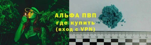 ПСИЛОЦИБИНОВЫЕ ГРИБЫ Богданович