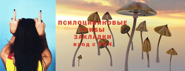 прущие крисы Беломорск