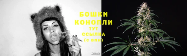 ПСИЛОЦИБИНОВЫЕ ГРИБЫ Богданович